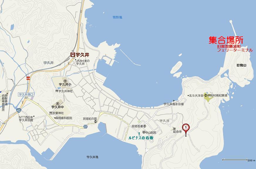 シイノトモシビタケ1