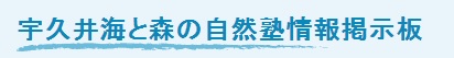 宇久井海と森の自然塾