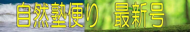 自然塾便り