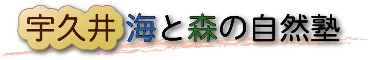 宇久井海と森の自然塾