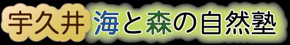 宇久井海と森の自然塾
