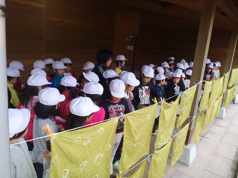 平成24年11月19日勝浦小学校２年草花染め体験